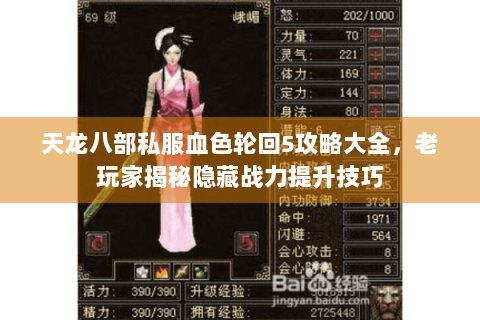 天龙八部私服血色轮回5攻略大全，老玩家揭秘隐藏战力提升技巧