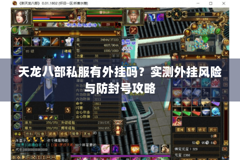 天龙八部私服有外挂吗？实测外挂风险与防封号攻略