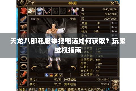 天龙八部私服举报电话如何获取？玩家维权指南