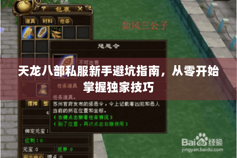 天龙八部私服新手避坑指南，从零开始掌握独家技巧