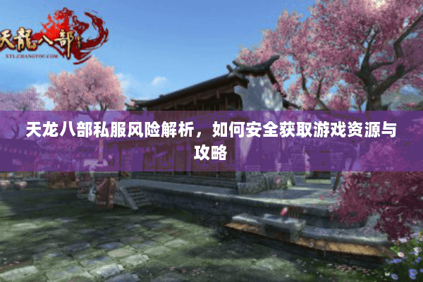 天龙八部私服风险解析，如何安全获取游戏资源与攻略