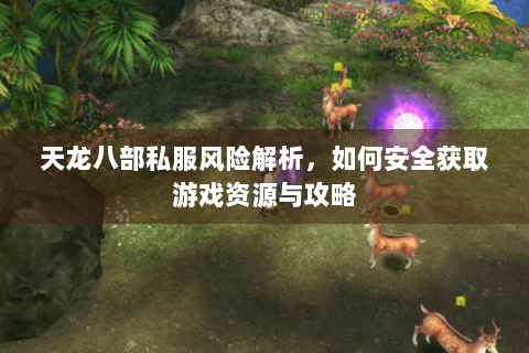天龙八部私服风险解析，如何安全获取游戏资源与攻略