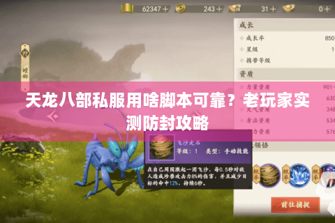 天龙八部私服用啥脚本可靠？老玩家实测防封攻略