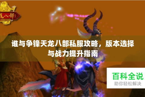 谁与争锋天龙八部私服攻略，版本选择与战力提升指南