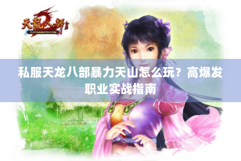 私服天龙八部暴力天山怎么玩？高爆发职业实战指南