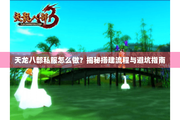 天龙八部私服怎么做？揭秘搭建流程与避坑指南