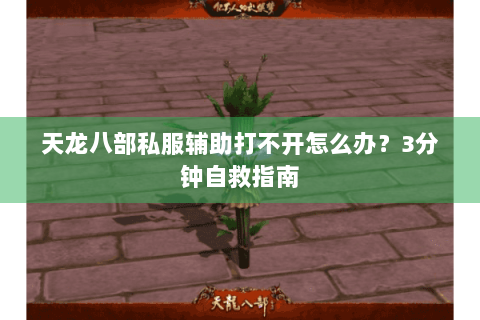 天龙八部私服辅助打不开怎么办？3分钟自救指南