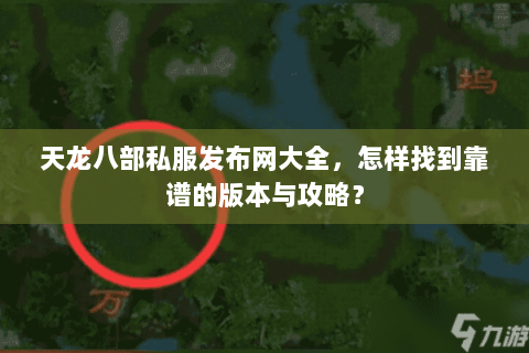 天龙八部私服发布网大全，怎样找到靠谱的版本与攻略？