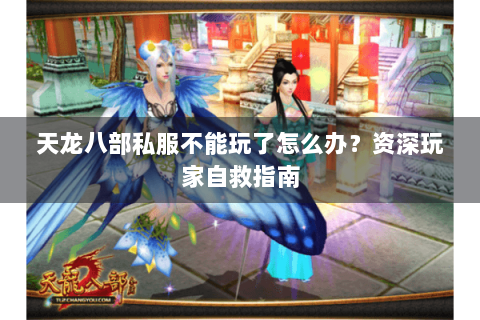 天龙八部私服不能玩了怎么办？资深玩家自救指南