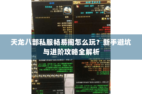 天龙八部私服畅易阁怎么玩？新手避坑与进阶攻略全解析