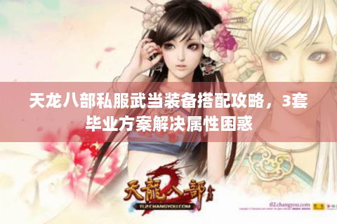 天龙八部私服武当装备搭配攻略，3套毕业方案解决属性困惑