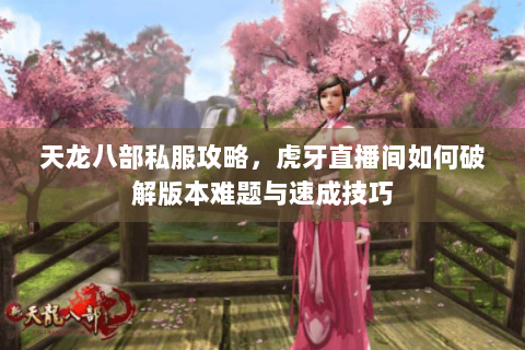 天龙八部私服攻略，虎牙直播间如何破解版本难题与速成技巧