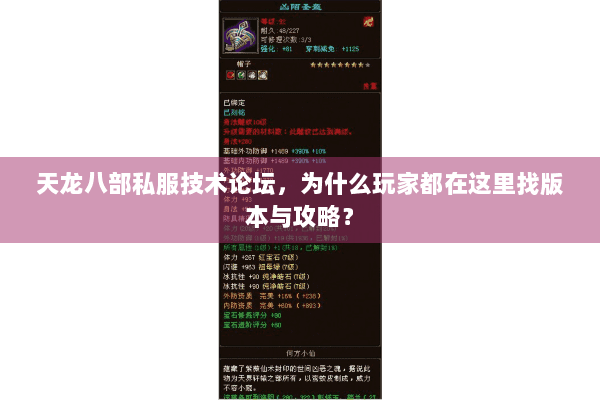 天龙八部私服技术论坛，为什么玩家都在这里找版本与攻略？