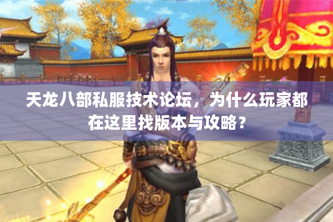 天龙八部私服技术论坛，为什么玩家都在这里找版本与攻略？