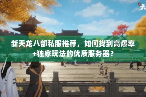 新天龙八部私服推荐，如何找到高爆率+独家玩法的优质服务器？