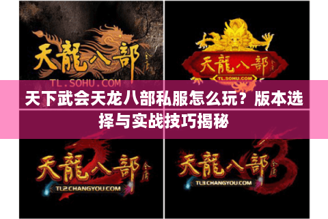 天下武会天龙八部私服怎么玩？版本选择与实战技巧揭秘