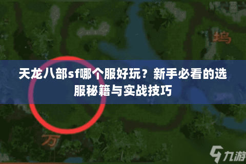 天龙八部sf哪个服好玩？新手必看的选服秘籍与实战技巧