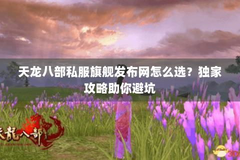 天龙八部私服旗舰发布网怎么选？独家攻略助你避坑