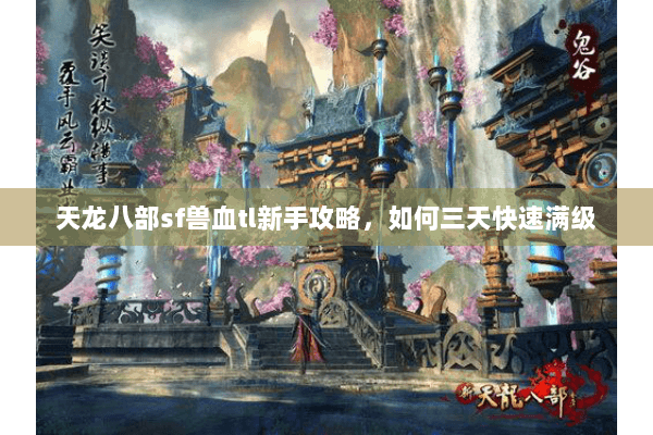 天龙八部sf兽血tl新手攻略，如何三天快速满级