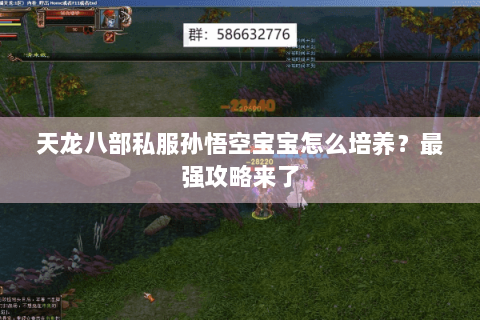 天龙八部私服孙悟空宝宝怎么培养？最强攻略来了