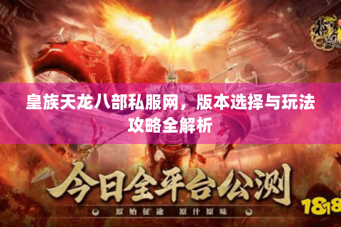 皇族天龙八部私服网，版本选择与玩法攻略全解析