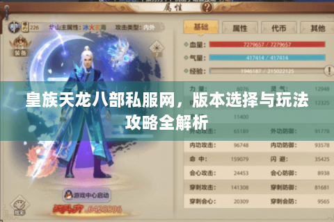 皇族天龙八部私服网，版本选择与玩法攻略全解析
