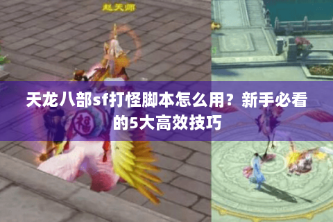 天龙八部sf打怪脚本怎么用？新手必看的5大高效技巧