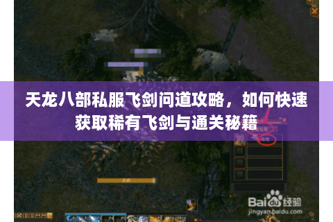 天龙八部私服飞剑问道攻略，如何快速获取稀有飞剑与通关秘籍