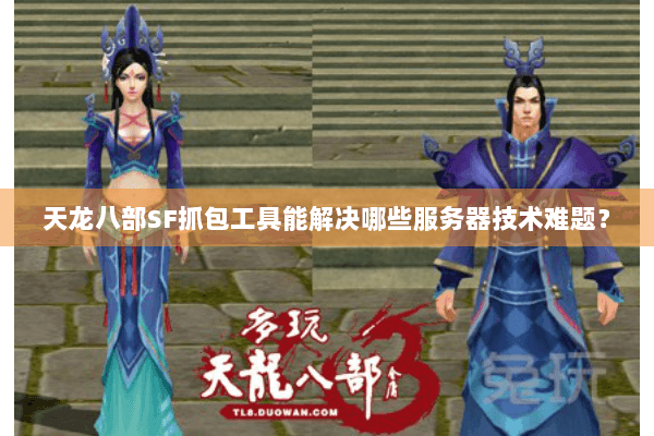 天龙八部SF抓包工具能解决哪些服务器技术难题？