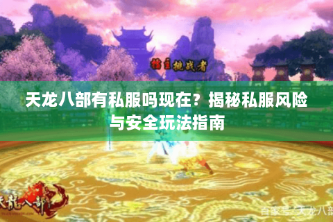 天龙八部有私服吗现在？揭秘私服风险与安全玩法指南