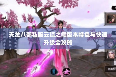 天龙八部私服云顶之巅版本特色与快速升级全攻略