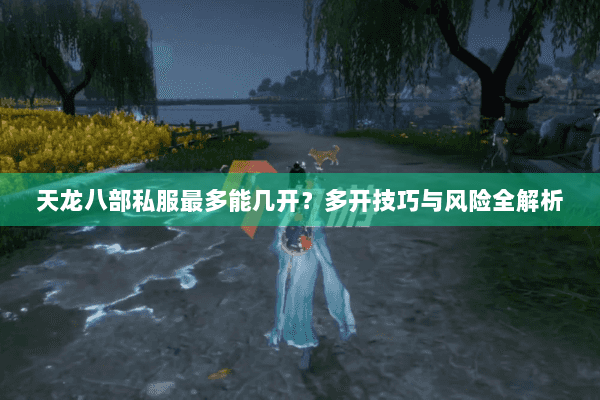 天龙八部私服最多能几开？多开技巧与风险全解析