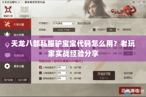 天龙八部私服驴宝宝代码怎么用？老玩家实战经验分享