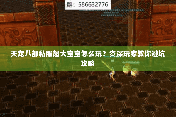 天龙八部私服超大宝宝怎么玩？资深玩家教你避坑攻略