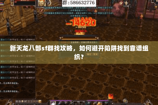 新天龙八部sf群找攻略，如何避开陷阱找到靠谱组织？
