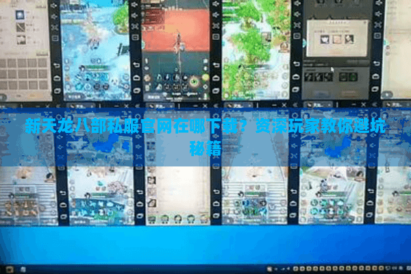新天龙八部私服官网在哪下载？资深玩家教你避坑秘籍