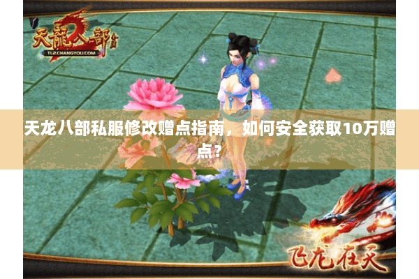 天龙八部私服修改赠点指南，如何安全获取10万赠点？