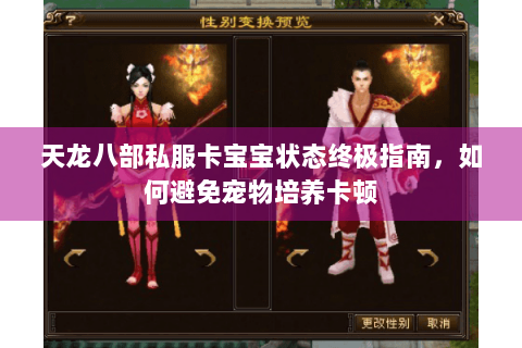 天龙八部私服卡宝宝状态终极指南，如何避免宠物培养卡顿