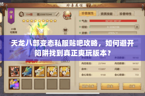 天龙八部变态私服贴吧攻略，如何避开陷阱找到真正爽玩版本？