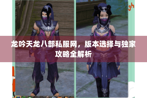 龙吟天龙八部私服网，版本选择与独家攻略全解析