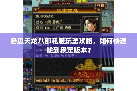 冬瓜天龙八部私服玩法攻略，如何快速找到稳定版本？