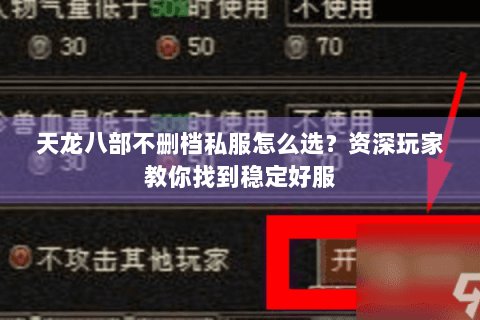 天龙八部不删档私服怎么选？资深玩家教你找到稳定好服