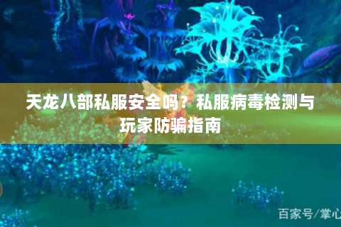天龙八部私服安全吗？私服病毒检测与玩家防骗指南