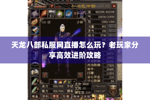 天龙八部私服网直播怎么玩？老玩家分享高效进阶攻略