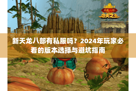 新天龙八部有私服吗?2024年玩家必看的版本选择与避坑指南 新天龙八部有私服吗?2024年玩家必看的版本选择与避坑指南