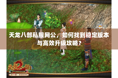 天龙八部私服网公，如何找到稳定版本与高效升级攻略？
