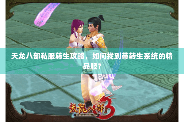 天龙八部私服转生攻略，如何找到带转生系统的精品服？