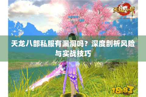 天龙八部私服有漏洞吗？深度剖析风险与实战技巧