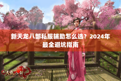 新天龙八部私服辅助怎么选？2024年最全避坑指南