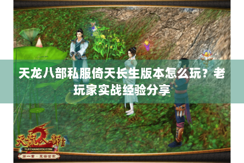天龙八部私服倚天长生版本怎么玩？老玩家实战经验分享